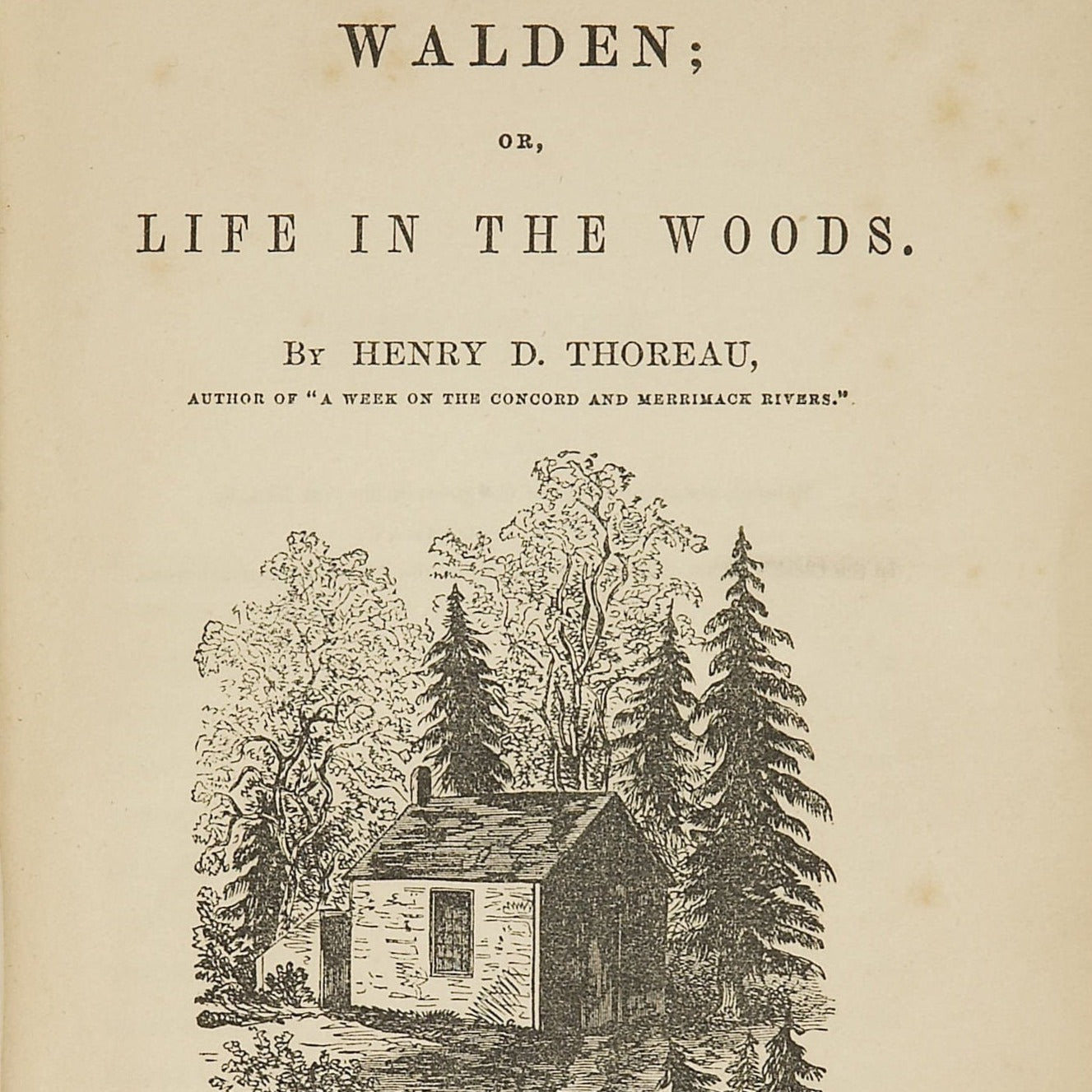 Walden’s Embrace