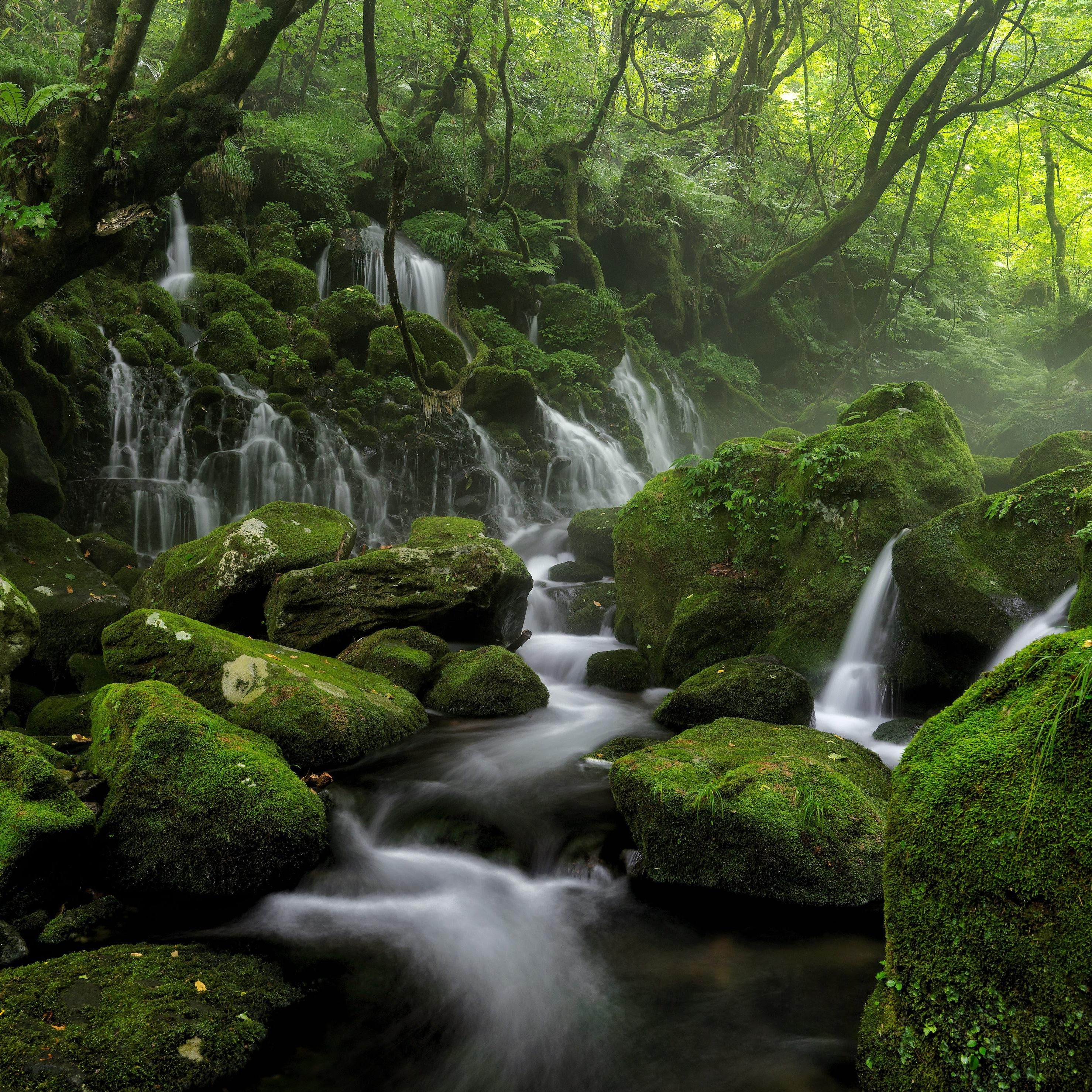 Wu Wei