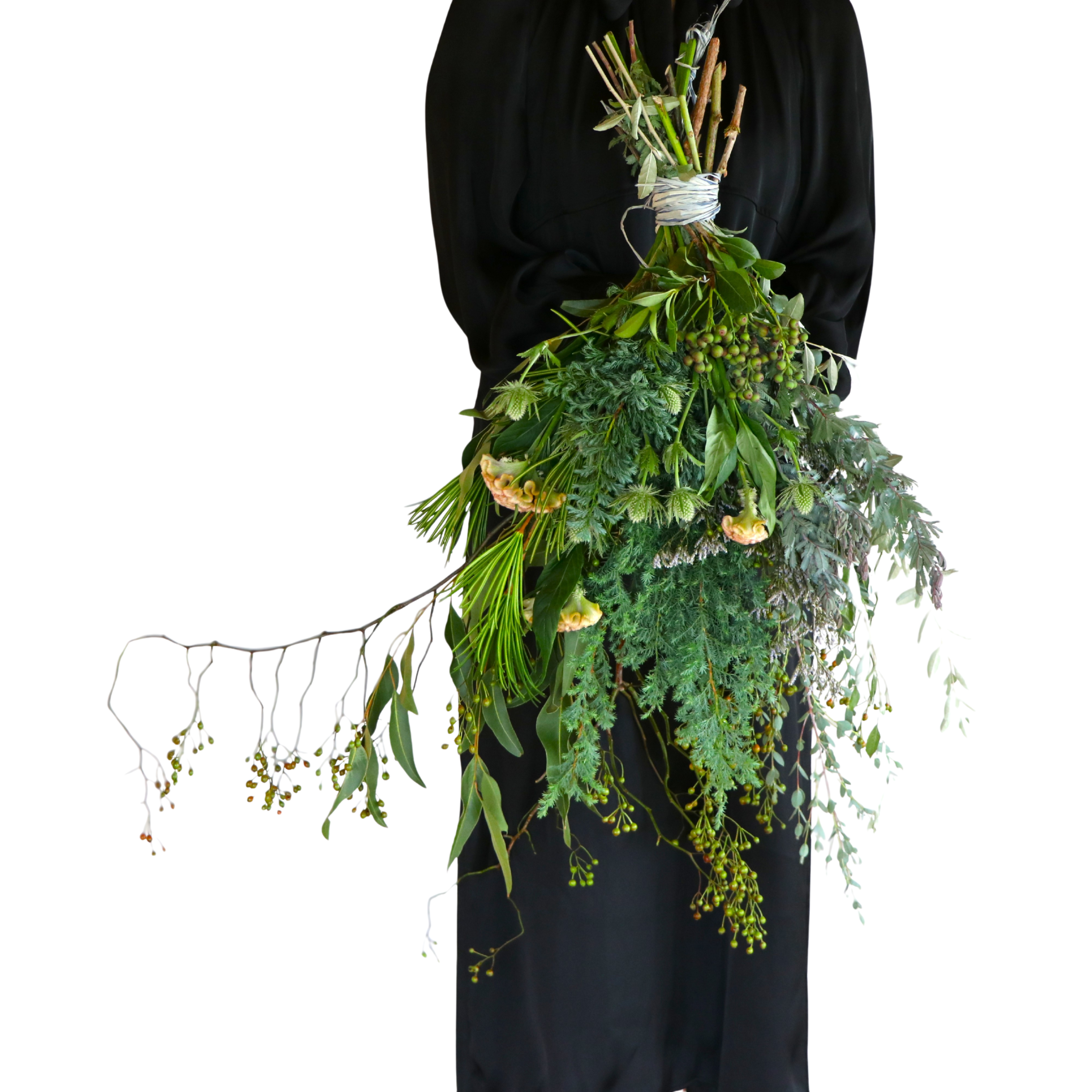 Eternal Forest | Swag