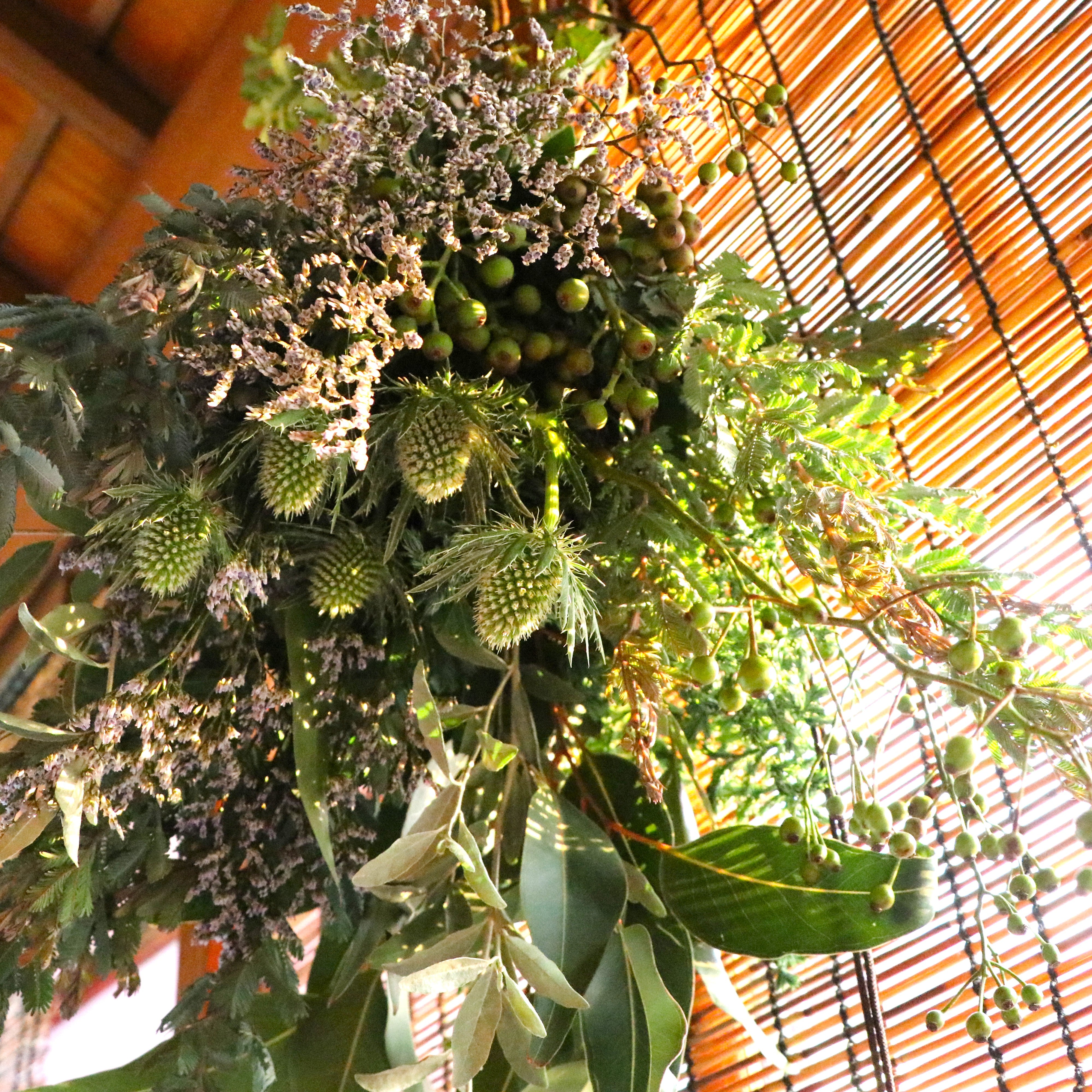 Eternal Forest | Swag