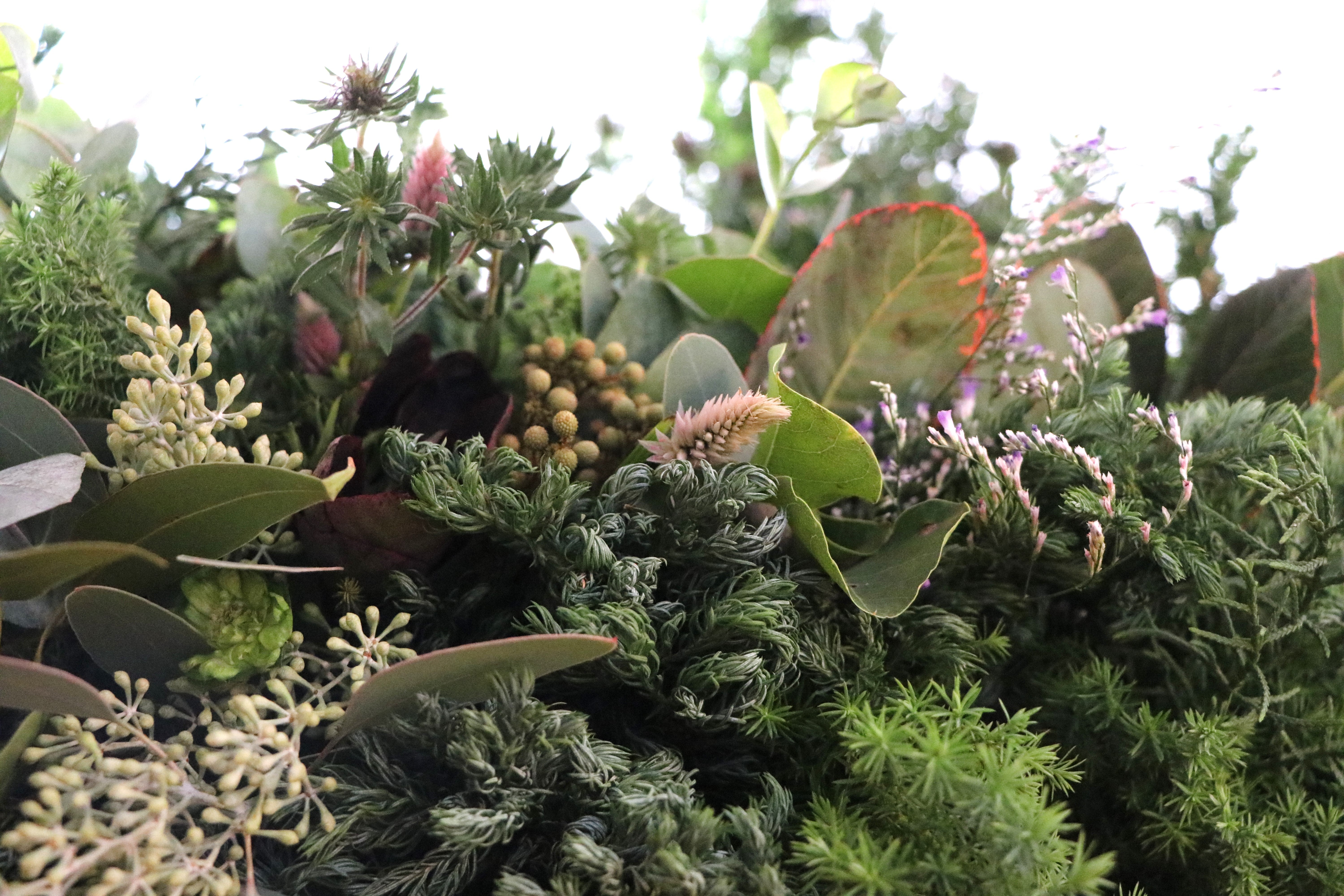 リース＆スワッグ